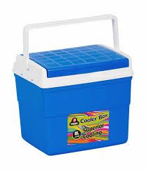 Cooler Box 8lt